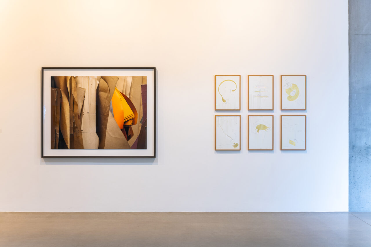 Jorinde Voigt - LANGEN FOUNDATION