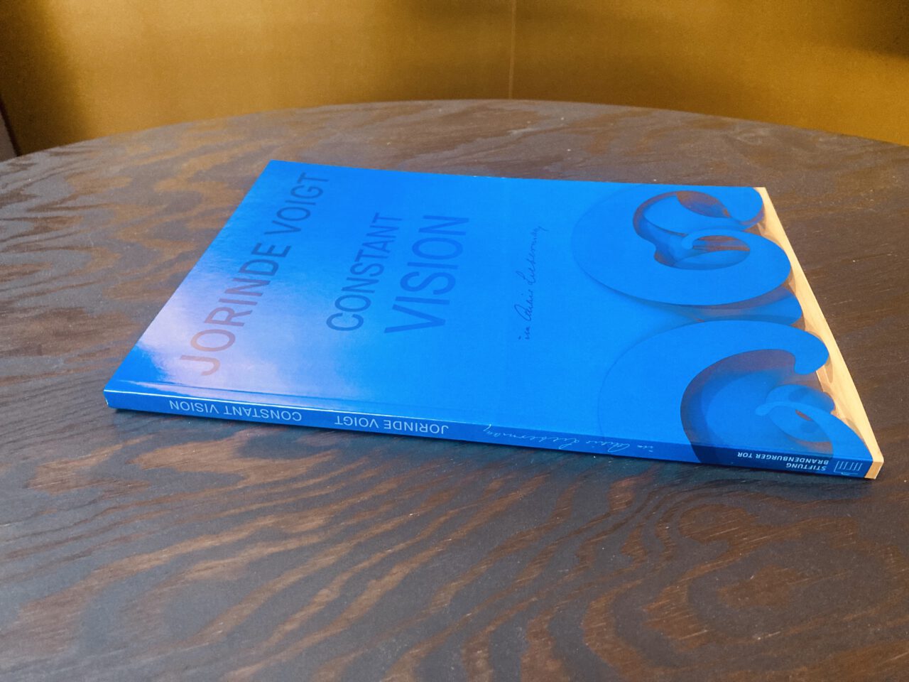 Jorinde Voigt - Constant Vision