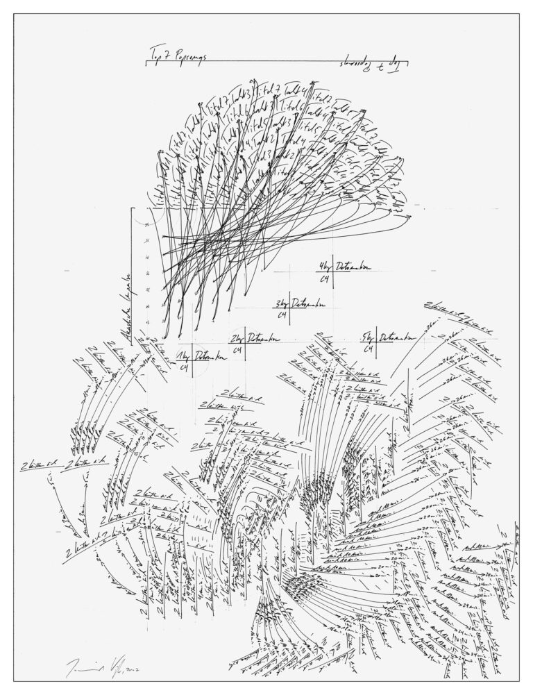 Jorinde Voigt - Perm Studie Organisches Pulsfeld, 2007