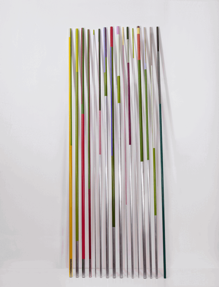 Jorinde Voigt - Botanic Code Royal Botanic Gardens Sydney, Australia, 2009