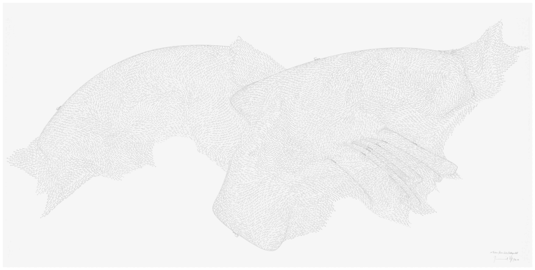 Jorinde Voigt - 10 Territorien / Konvex-Konkav / Richtungswechsel, 2010