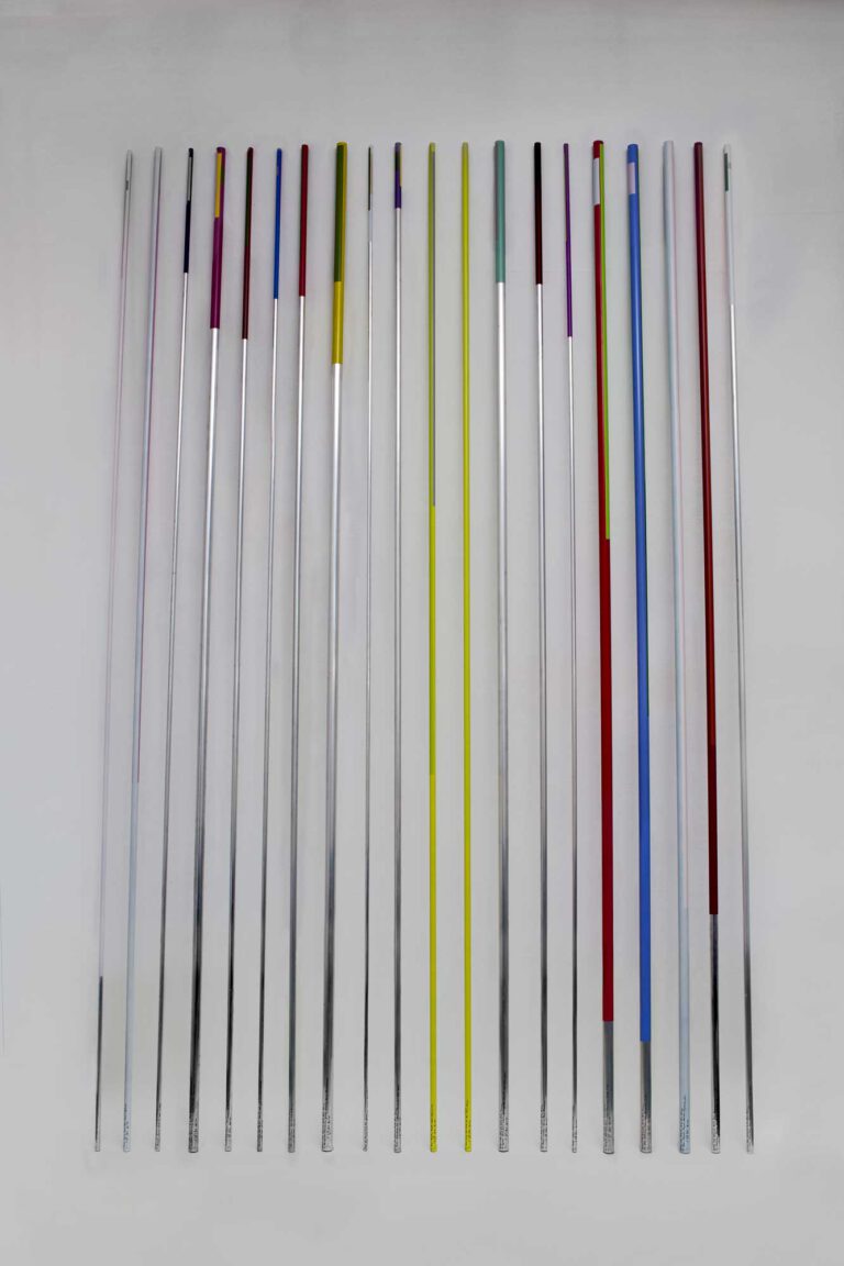 Jorinde Voigt - BOTANIC CODE - Botanischer Garten Berlin, I-XX, 2010