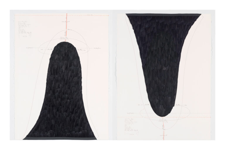 Jorinde Voigt - Central From Above & Central From Below, 2015