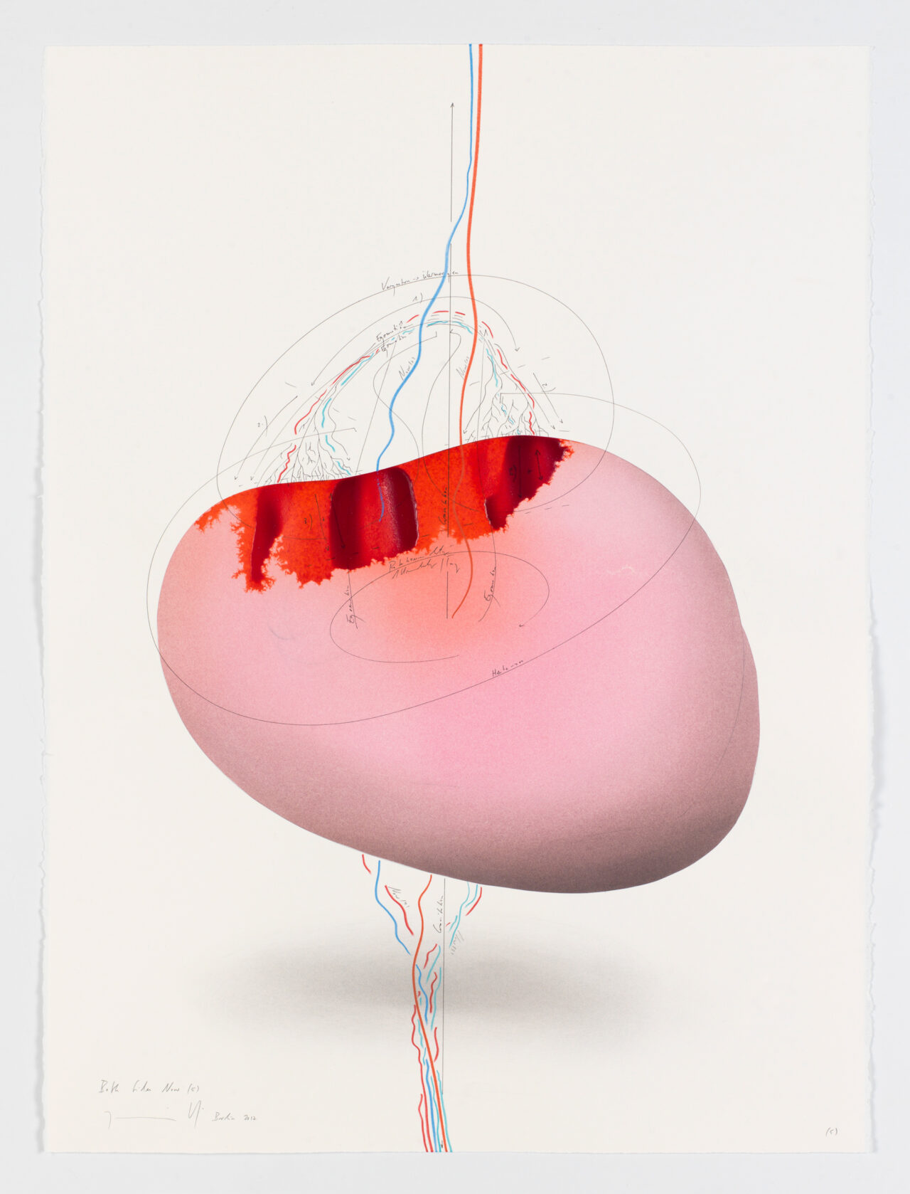 Jorinde Voigt - Klosterfelde Edition Berlin