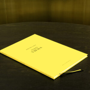 2011 Jorinde Voigt – 1000 Views, Catalog on the occasion of the same entitled exhibition at Regina Gallery, Moscow, Editor: Regina Gallery, Text: Jorinde Voigt, Language: English, total pages: 99, Publishing: Regina Gallery, ISBN: 5-901929-04-7, Price: €13,95. cover