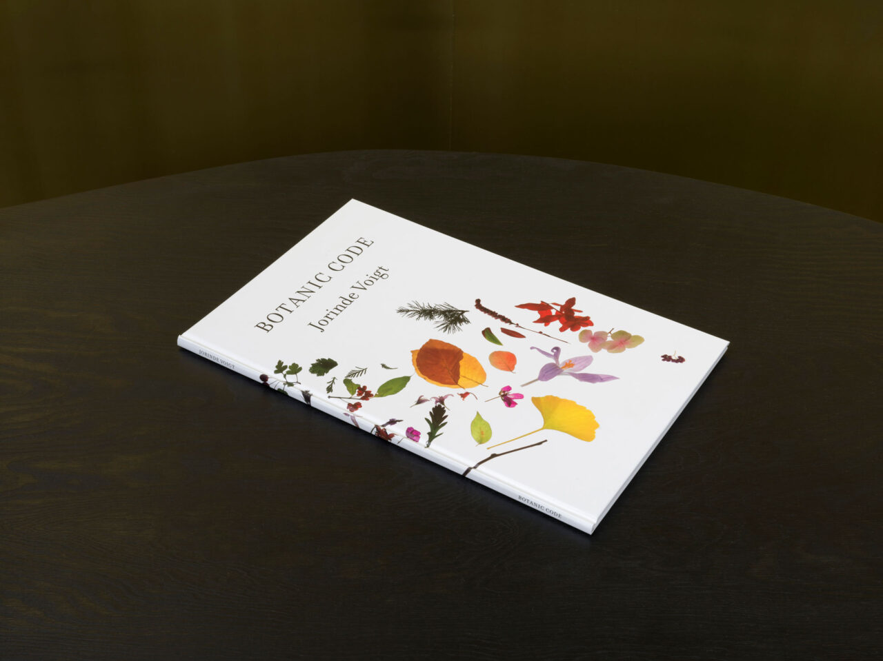 Jorinde Voigt – Botanic Code, Kienbaum Artists’ Books 2011 Edition, Editor: Jochen Kienbaum, Text: Jorinde Voigt, Language: German, total pages: 50, Publishing: Snoeck Verlagsgesellschaft, Köln ISBN: 978-3-940953-61-2, Price: €29,90