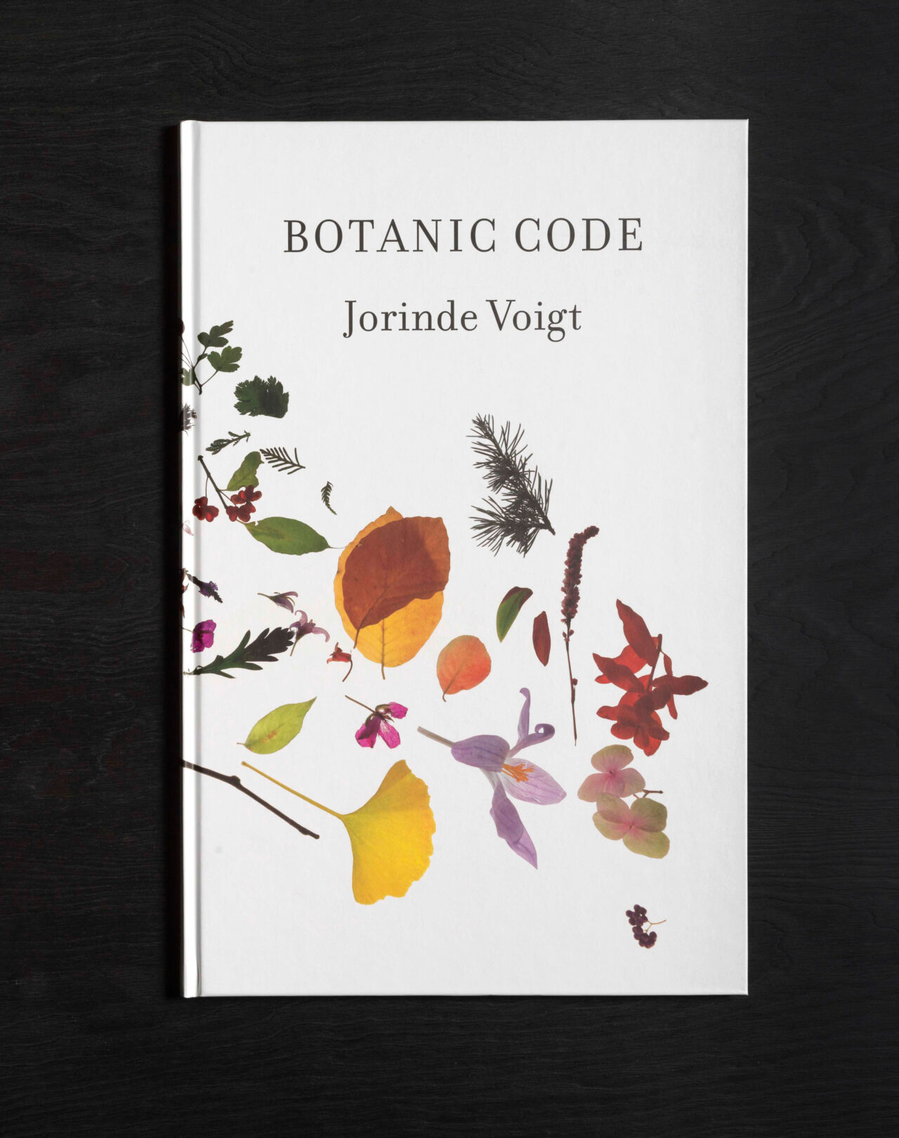 Jorinde Voigt – Botanic Code, Kienbaum Artists’ Books 2011 Edition, Editor: Jochen Kienbaum, Text: Jorinde Voigt, Language: German, total pages: 50, Publishing: Snoeck Verlagsgesellschaft, Köln ISBN: 978-3-940953-61-2, Price: €29,90.