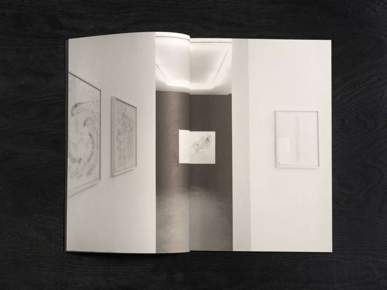 Jorinde Voigt - Matrix / Lemniscate / ∞, Catalog on the occasion of the same entitled exhibition at Galerie Christian Lethert, Cologne, Editor: Galerie Christian Lethert, Jorinde Voigt, Text: Andrew Cannon, Oliver Tepel, Anna Zett, Language: English, German, total pages: 76, Publishing: Kerber Verlag Bielefeld, ISBN: 978-3-866678-285-3, Price: €15,00.