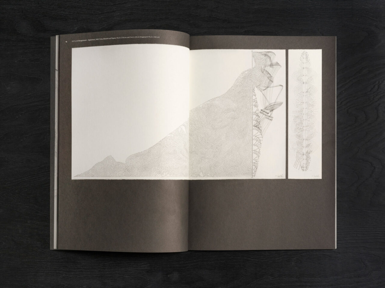 Jorinde Voigt - Matrix / Lemniscate / ∞, Catalog on the occasion of the same entitled exhibition at Galerie Christian Lethert, Cologne, Editor: Galerie Christian Lethert, Jorinde Voigt, Text: Andrew Cannon, Oliver Tepel, Anna Zett, Language: English, German, total pages: 76, Publishing: Kerber Verlag Bielefeld, ISBN: 978-3-866678-285-3, Price: €15,00.