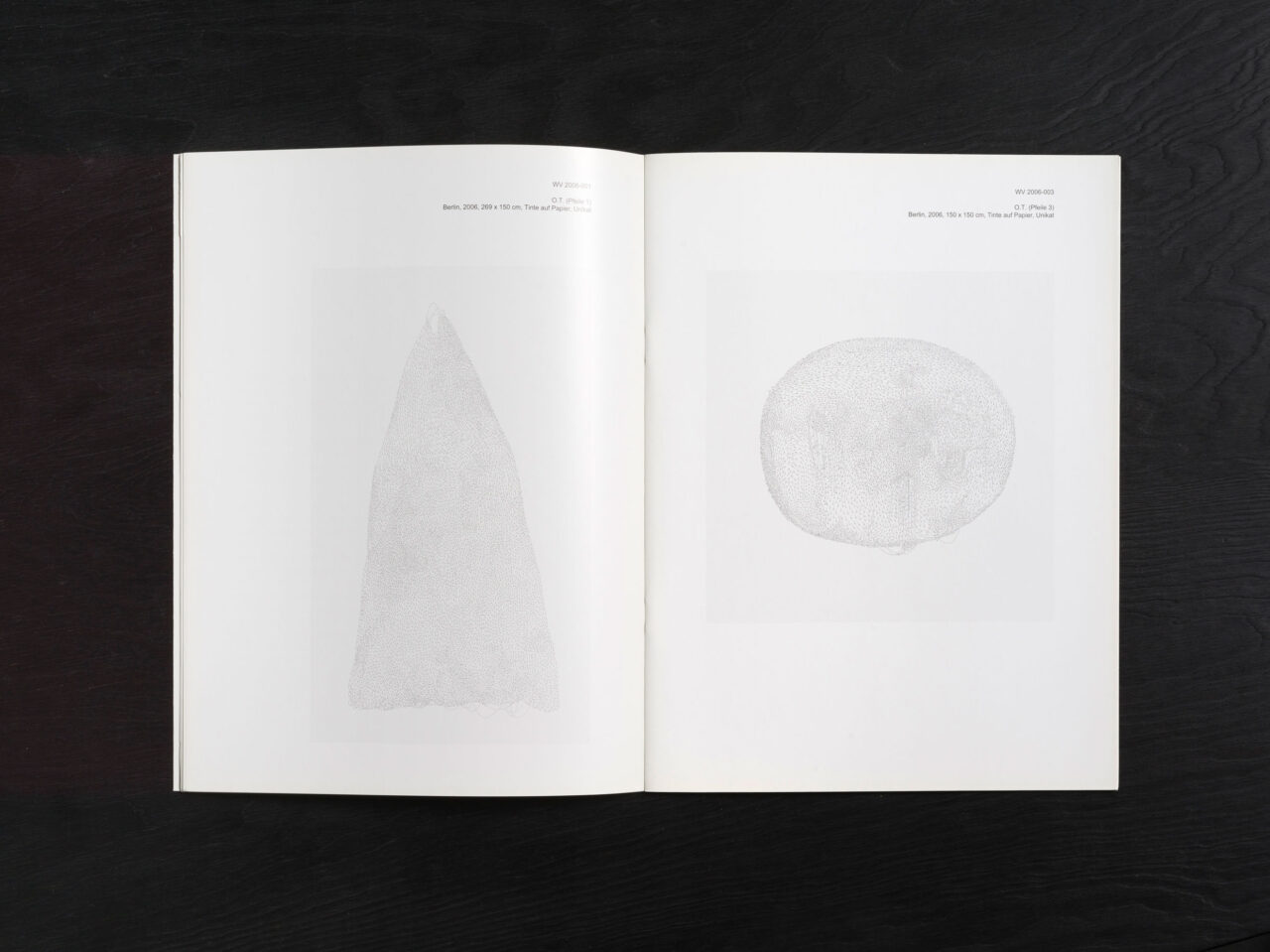 Jorinde Voigt. Otto-Dix-Preis 2008. Preisträgerin; Catalog on the occasion of the same entitled exhibition and awarding as the Price winner at Kunstsammlung Gera. Editor: Dr. Holger Peter Saupe, Text: Andreas Schalhorn. Language: Englisch, German, total pages: 23, contribution: all pages. Publishing: Kunstsammlung Gera. ISBN: 978-3-910051-56-0, Price: €15,00.