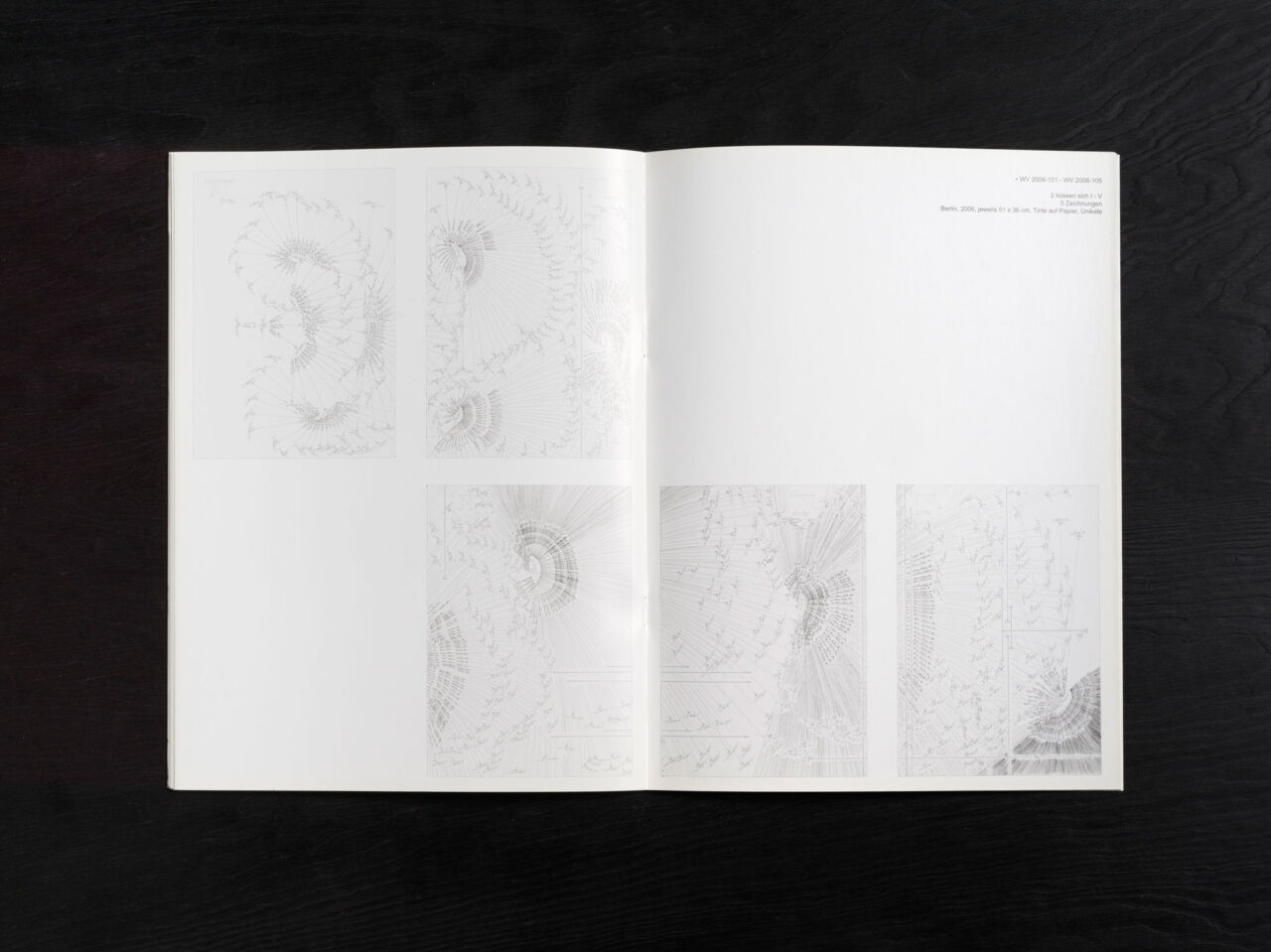 Jorinde Voigt. Otto-Dix-Preis 2008. Preisträgerin; Catalog on the occasion of the same entitled exhibition and awarding as the Price winner at Kunstsammlung Gera. Editor: Dr. Holger Peter Saupe, Text: Andreas Schalhorn. Language: Englisch, German, total pages: 23, contribution: all pages. Publishing: Kunstsammlung Gera. ISBN: 978-3-910051-56-0, Price: €15,00.