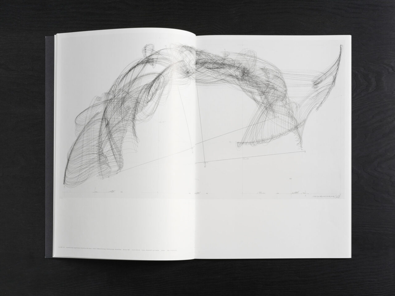 Jorinde Voigt – ReWrite, Catalog on the occasion of the same entitled exhibition at Galerie Fahnemann, Fahnemann Projects, Berlin, Editor: Clemens Fahnemann, Jorinde Voigt, Text: Andrew Cannon, Language: English, German, total pages: 67, Publishing: KraskaEckstein Verlag, ISBN: 978-3-940717-04-7, Price: €15,00