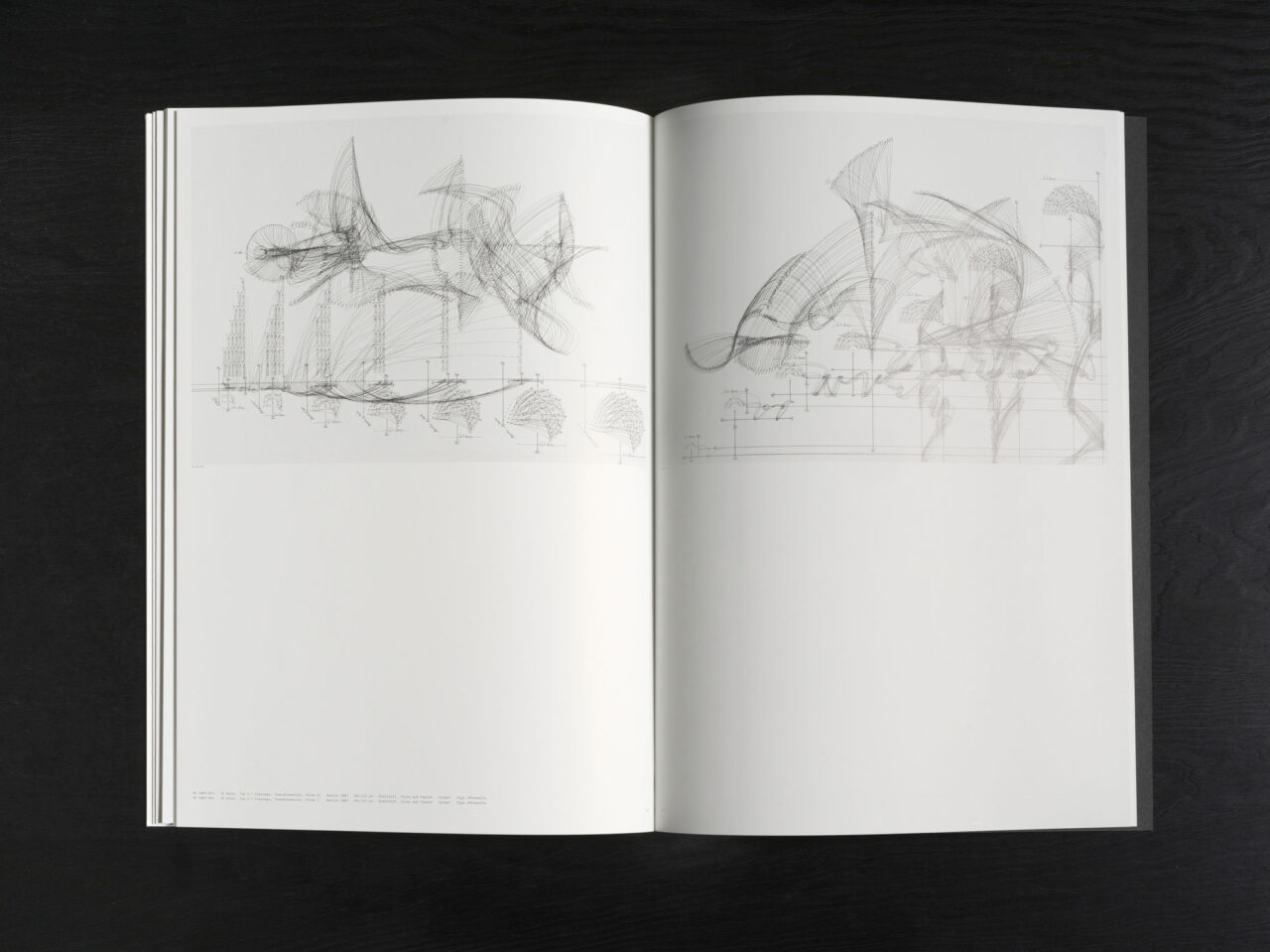 Jorinde Voigt – ReWrite, Catalog on the occasion of the same entitled exhibition at Galerie Fahnemann, Fahnemann Projects, Berlin, Editor: Clemens Fahnemann, Jorinde Voigt, Text: Andrew Cannon, Language: English, German, total pages: 67, Publishing: KraskaEckstein Verlag, ISBN: 978-3-940717-04-7, Price: €15,00