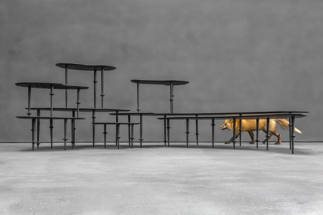 Jorinde Voigt - About Stability installation view with fox in the studio