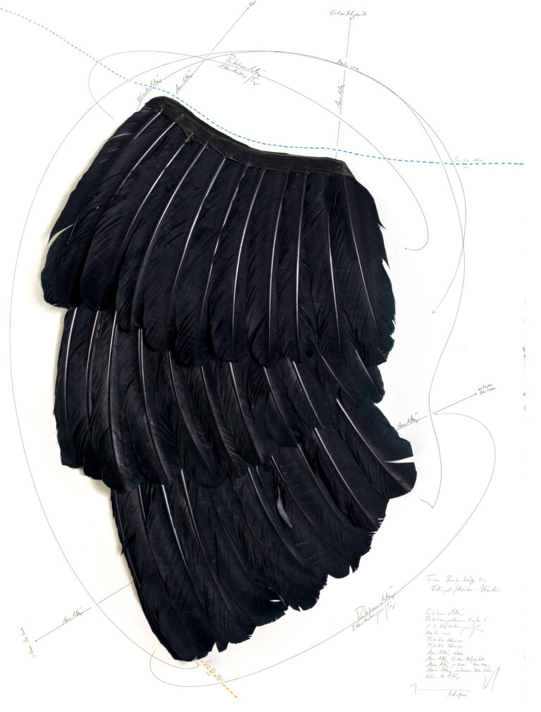 Jorinde Voigt - From Back Left, Flügel –/ Avatar–Studie, 2015