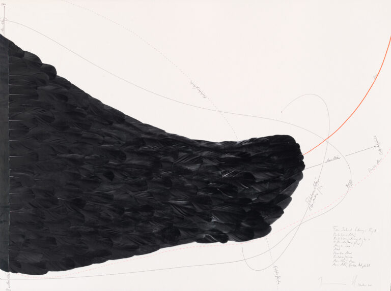 Jorinde Voigt - From Behind Sideways Left, 2015