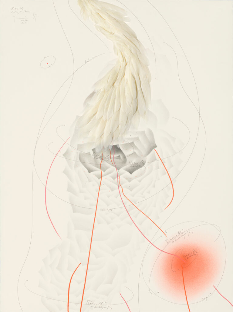 Jorinde Voigt - It's Ok, 2015